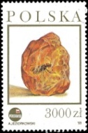Insect in Amber on stamp