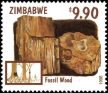 Petrified wood on stamp