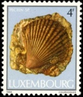 Shell fossil on stamp