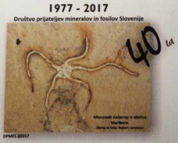 Sphaeroschwagerina carniolica from fossil Dovžanova soteska site on personalized FDC of Slovenia 2017