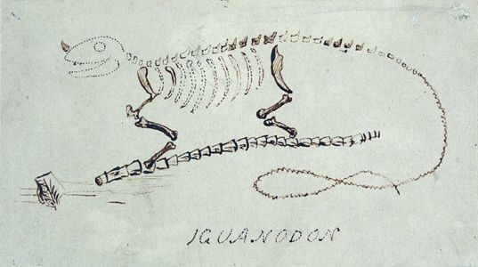 Mantell's Iguanodon restoration based on the Maidstone Mantellodon remains