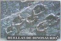 Dinosaur's footprint on FDC of Bolivia 2007
