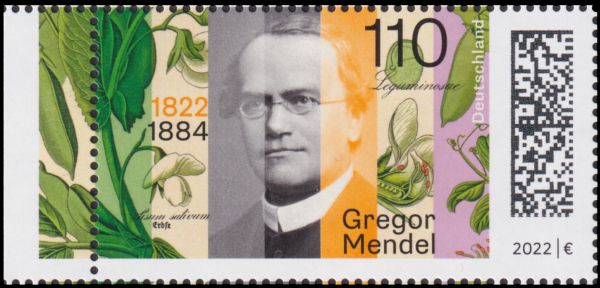 Gregor Mendel on stamp of Germany 2022