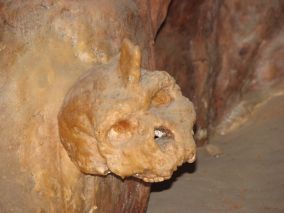 Petralona skull covered by stalagmite as it was discovered in the Petralona Cave, near Thessaloniki in Greece
