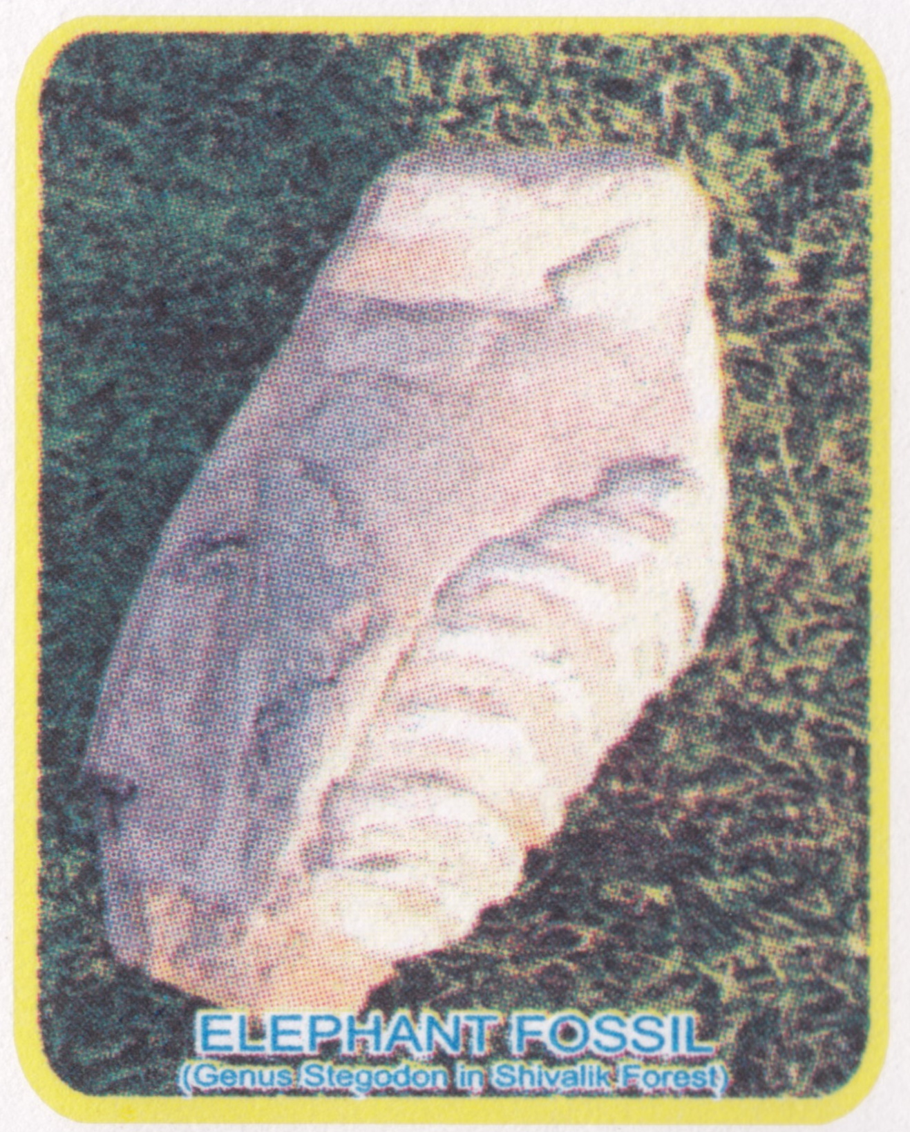 Tooth of Stegodon on a cachet of commemorative cover of India in 2020
