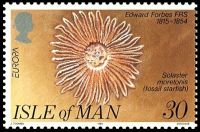 Fossil starfish Solaster moretonis on stamp of Isle of Man 1994