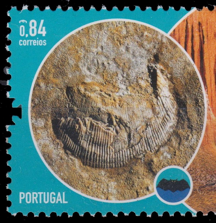 Fossil bivalve Jurassic in age stamp of Portugal 2021