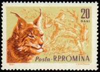 Prehistoric hunter on stamp of Romania 1961