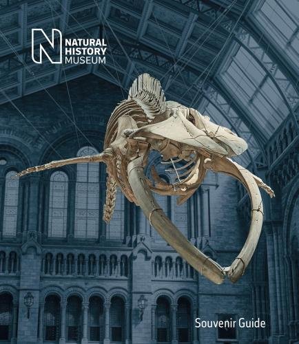 Natural History Museum: Souvenir Guide