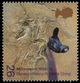 Darwin's finches and fossil of Archaeopteryx on stamp of UK 1999