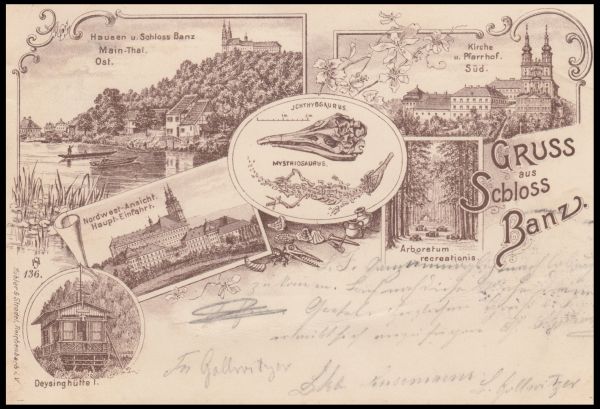 Ichthyosaur, pterosaur and other fossil of postcard of Germany 1897
