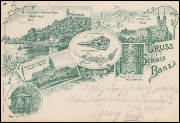 Ichthyosaur, pterosaur and other fossil of postcard of Germany 1897