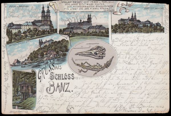 Ichthyosaur, pterosaur and other fossil of postcard of Germany 1899