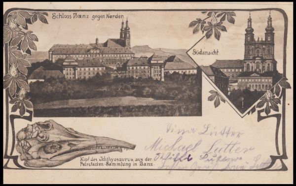 Ichthyosaur skull of postcard of Germany 1913