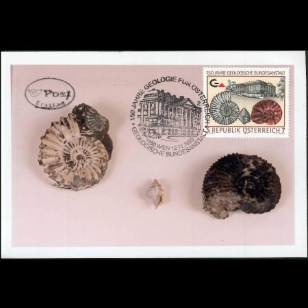 Ammonite and Gastropod on Maxi Card of Austria 1999, 150th Anniversary of the Federal Geological Institute