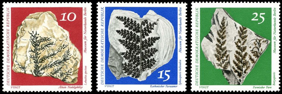Plant fossils on stamps of German Democratic Republic 1973