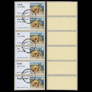 Neanderthals on FDC of Gibraltar 2025 Neanderthals on FDC of Gibraltar 2025