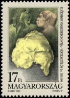 Samu prehistoric man on stamp of Hungary 1993