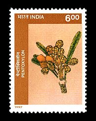 prehistoric plant Glossopteris on stamp of India 1997