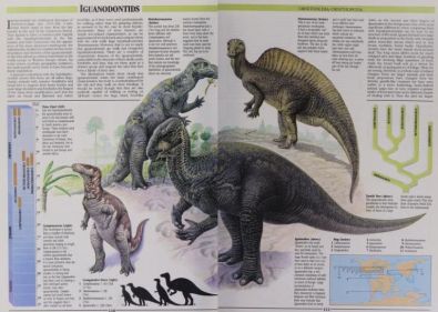 The Illustrated Encyclopedia of Dinosaurs by David Norman, illustrated by John Sibbick