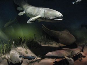 prehistoric fishes of Latvia