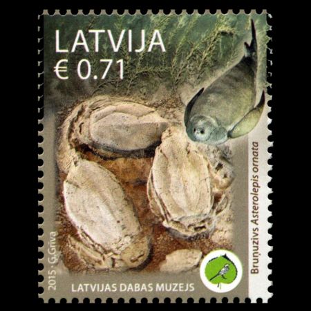 Latvian Museum of Natural History: Placodermi - Devonian fish on stamp of Latvia 2015