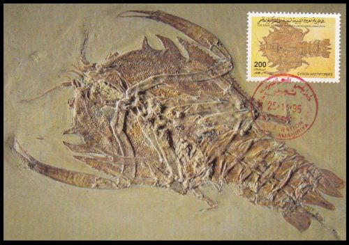 Fossils on Maxi Cards of Libya