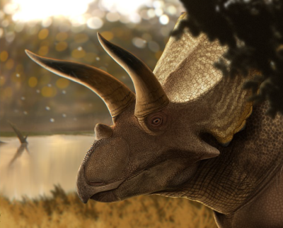 Life reconstruction of Coahuilaceratops (cropped)