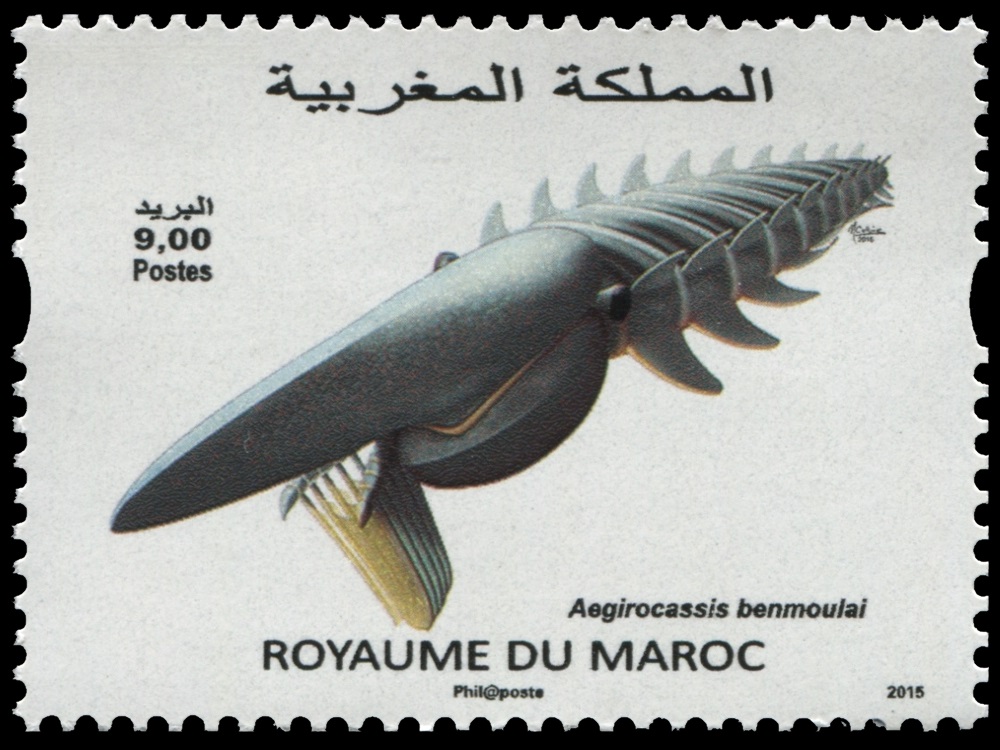 Aegirocassis benmoulae  on stamp of Morocco