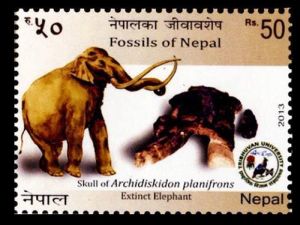 Archidiskidon planifrons extinct Elephant on stamp of Nepal