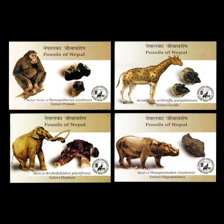 Postcards and Maxi Cards with of prehistoric animals and their fossils stamps of Nepal 2013
