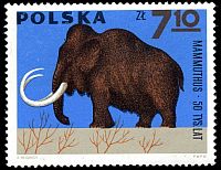 Mammuthus on stamp of Poland 1966