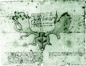 The oldest drawing of skull and antlers of a “Giant Deer” from 1588