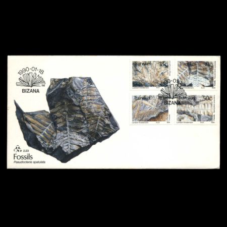 Plant fossils on FDC of Transkei 1990