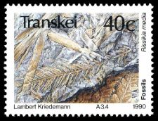 Rlssikia media on stamp Transkei 1990