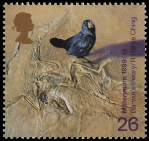 The 26p First Class stamp, "Darwin's theory", was designed by the wildlife artist Ray Harris Ching. A bird stands next to a limestone fossil of Archaeopteryx, the first known bird, from which it evolved.
