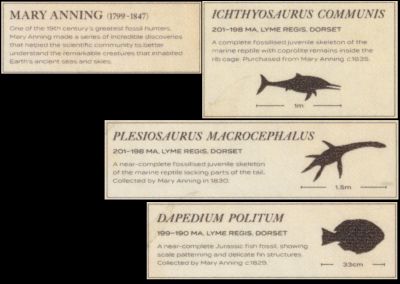 Microtext on the Mini-Sheet of the Royal Mail 2024