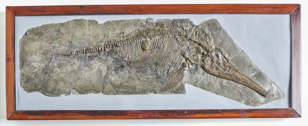 Mary Anning on stamp of UK 2024