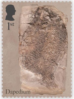 Fossil of Jurassic fish Dapedium politum on stamp of UK 2024