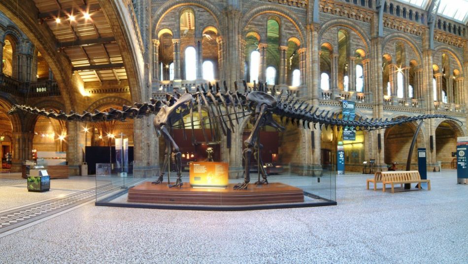 Diplodocus, Dippy, on display in Hintze Hall of the Natural History Museum in London