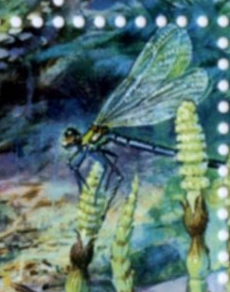 Dragonfly on stamp of USA 1997