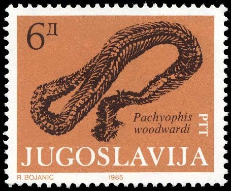 Origin of Species on stamp of Vanuatu