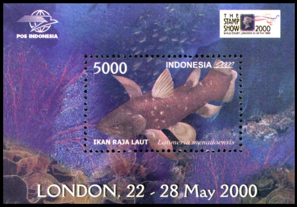Prehistoric fishes of Indonesia