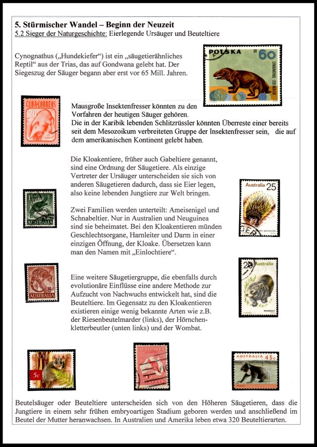 Page23 of Ammoniten exhibit of Mr. Rudolf Hofer