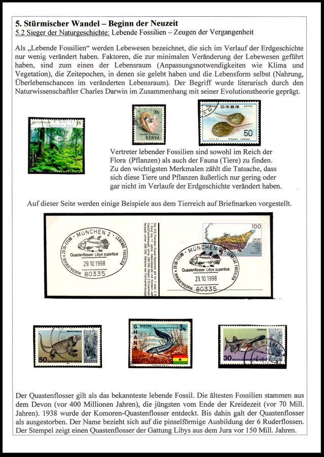 Page24 of Ammoniten exhibit of Mr. Rudolf Hofer