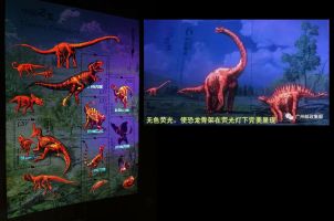 Chinese dinosaurs glow in the dark