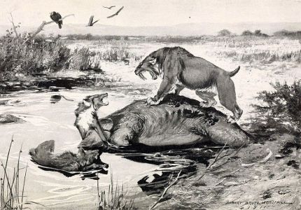 prehistoric animals on illustration of History of Land Mammals in the Western Hemisphere book of Robert BERRYMAN Scoot