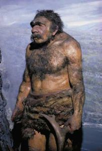 Neanderthal of Chicago's Field Museum diorama