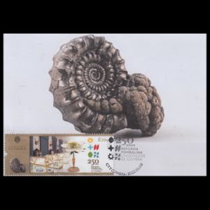 Ammonite in Museum of Coimbra University on Maxi-Cards of Portugal 2022