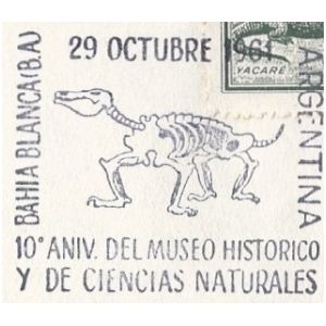 Fossil of prehistoric animal on postmark of Argentina 1961